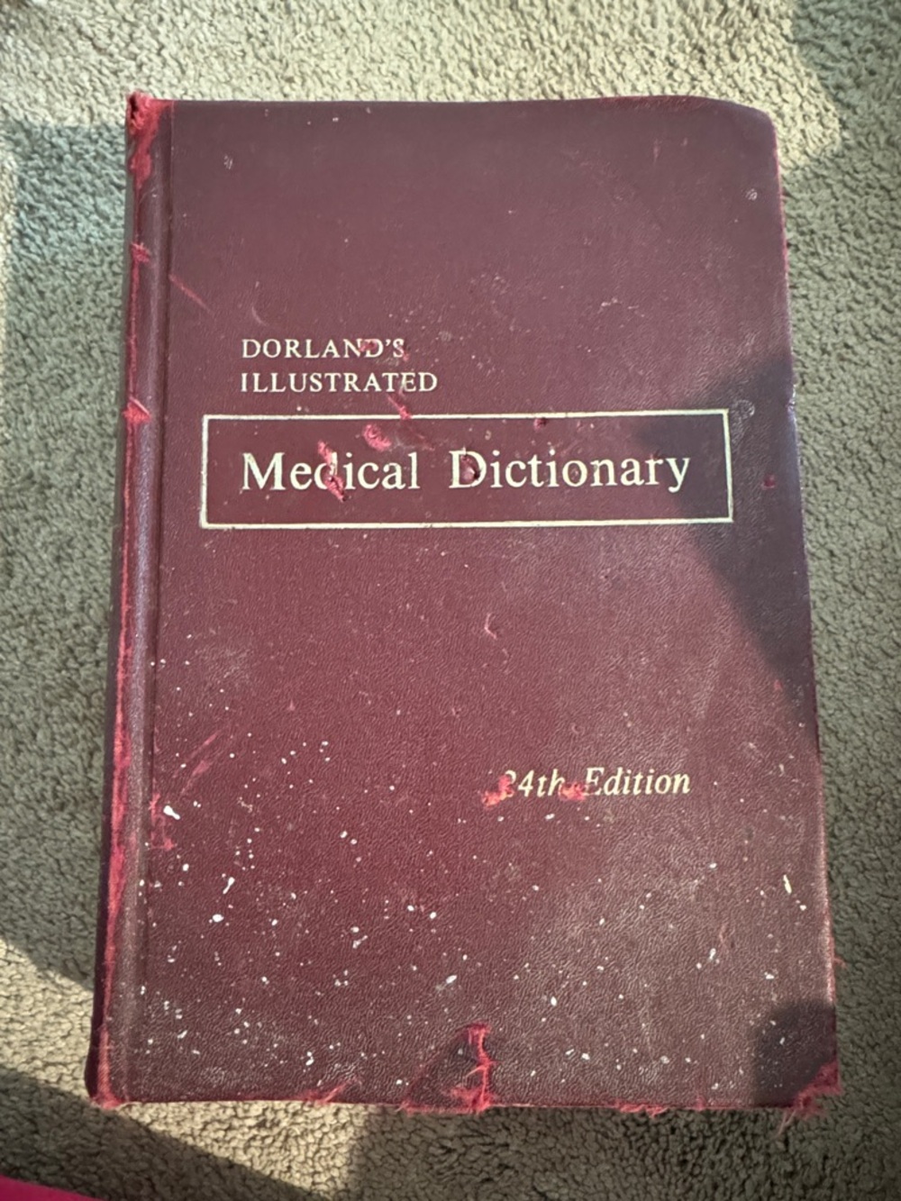 Vintage Dorland's Illustrated Medical Dictionary - Burgundy